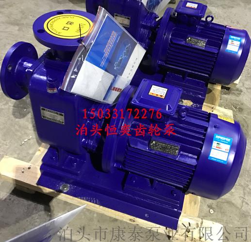 泊头康泰供应100BZ自吸泵 工业流体输送的高效可靠解决方案